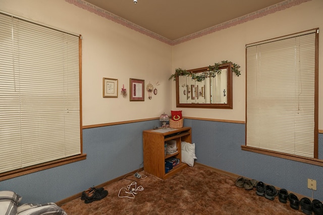 210 1st St SE, Hayfield, MN 55940 - carpeted home office with crown molding
