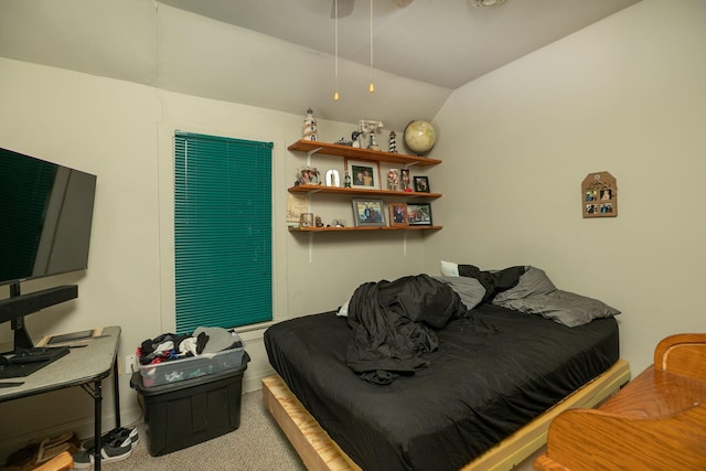 210 1st St SE, Hayfield, MN 55940 - carpeted living room with lofted ceiling and ceiling fan