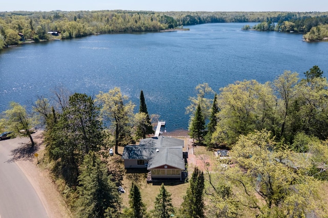 6363 Circle Rd, Danbury, WI 54830 - view from above of property featuring a large body of water and a forest