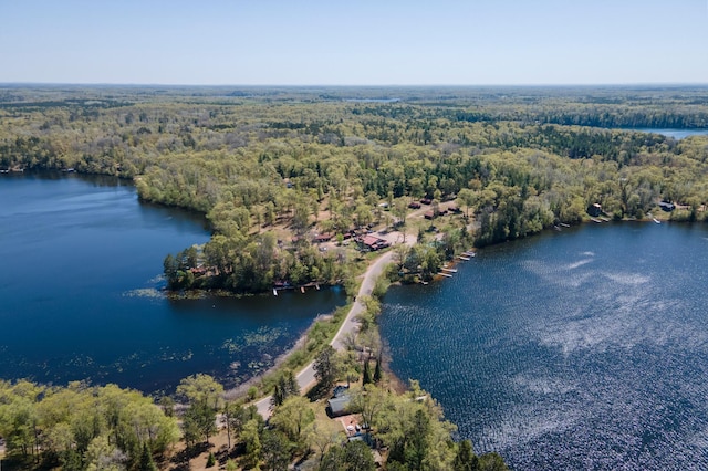 6363 Circle Rd, Danbury, WI 54830 - bird's eye view of a forest and a nearby body of water