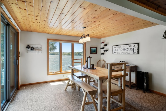 6363 Circle Rd, Danbury, WI 54830 - carpeted dining space with wooden ceiling, baseboards, and a water view