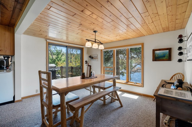 6363 Circle Rd, Danbury, WI 54830 - dining room with wooden ceiling, carpet floors, and baseboards