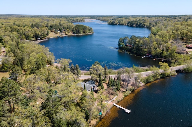 6363 Circle Rd, Danbury, WI 54830 - drone / aerial view of a forest and a nearby body of water