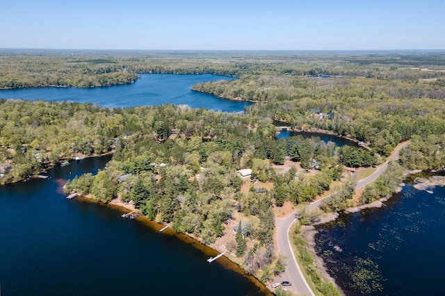 6363 Circle Rd, Danbury, WI 54830 - aerial overview of property's location with a forest and a large body of water