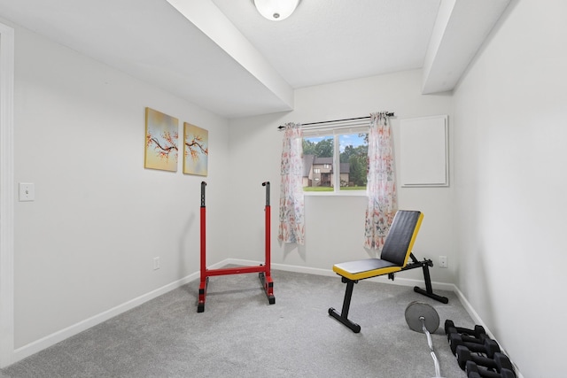 13967 Herald Ct, Apple Valley, MN 55124 - exercise area featuring carpet floors and baseboards