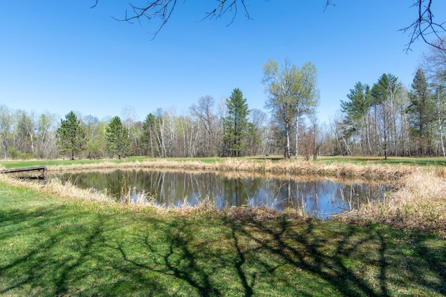 24944 State Highway 210, Mcgregor, MN 55760 - water view featuring a forest