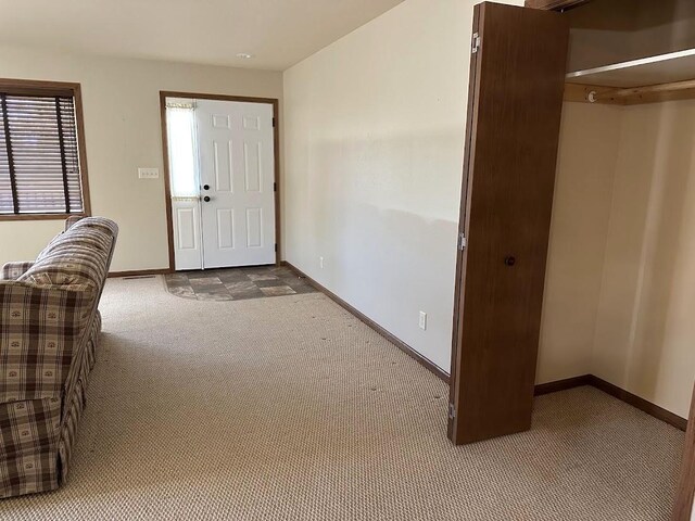 413 River Bluff Dr, Windom, MN 56101 - foyer with carpet and baseboards