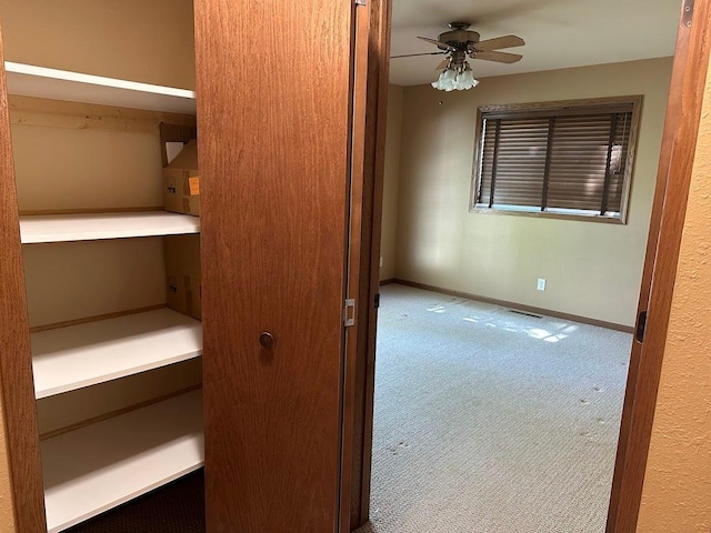 413 River Bluff Dr, Windom, MN 56101 - view of closet