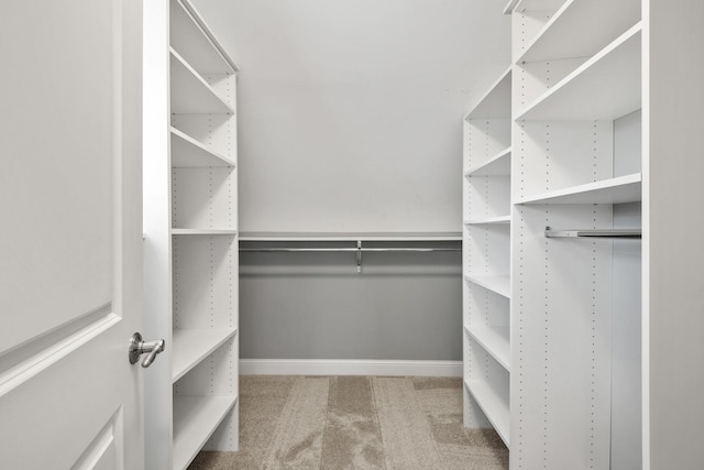 5220 Abbott Ave S, Minneapolis, MN 55410 - spacious closet with carpet floors