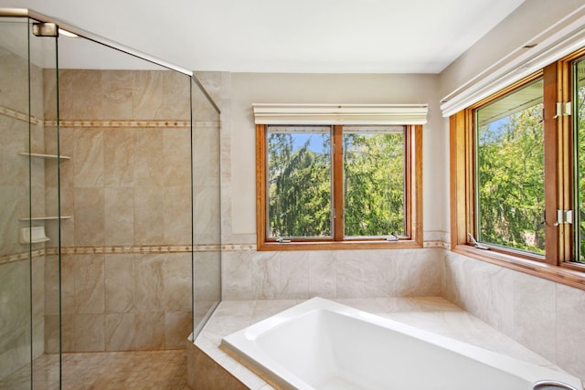 12005 27th Ave N, Plymouth, MN 55441 - bathroom with plenty of natural light, a garden tub, and a stall shower