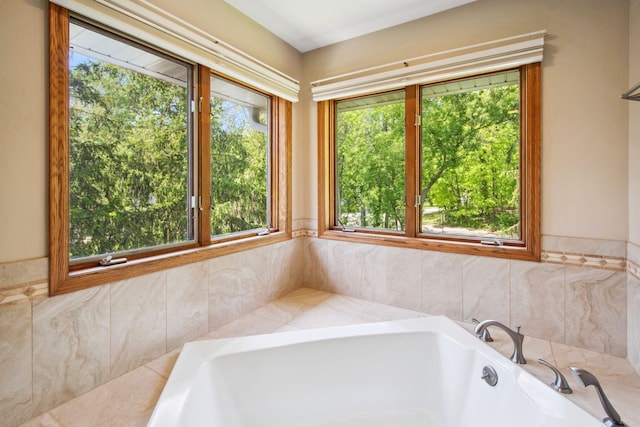 12005 27th Ave N, Plymouth, MN 55441 - bathroom with a bath and plenty of natural light
