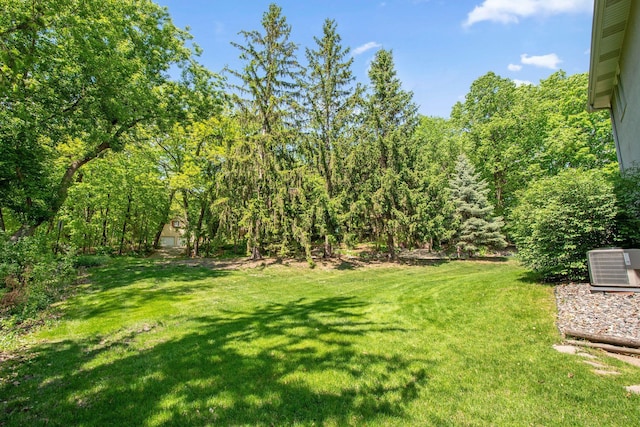 12005 27th Ave N, Plymouth, MN 55441 - view of green lawn