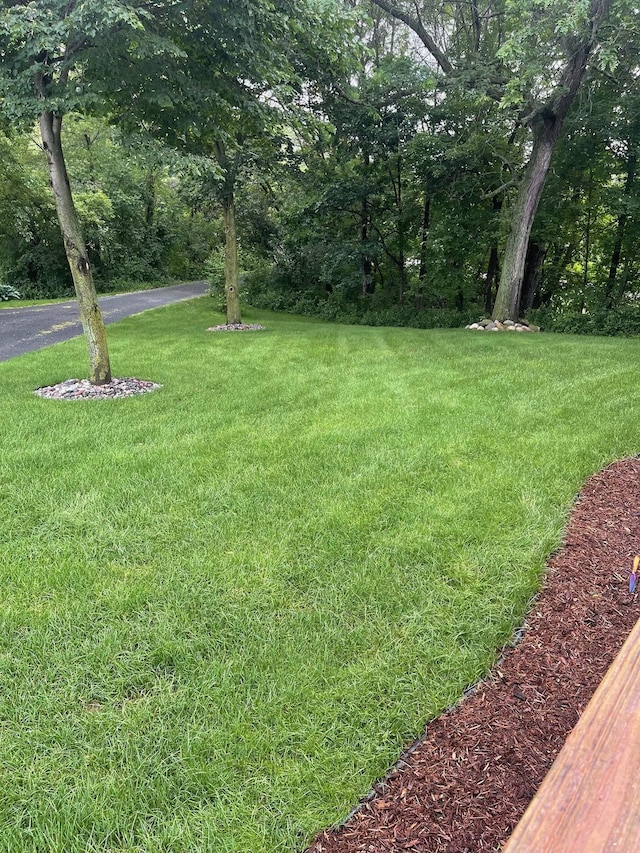 15947 Scandia Trl N, Scandia, MN 55073 - view of green lawn