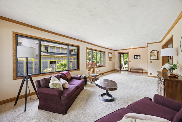3704 Milton St N, Shoreview, MN 55126 - carpeted living room featuring crown molding