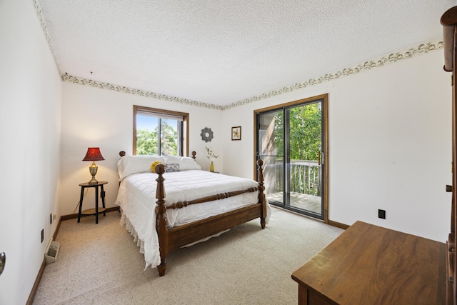 3704 Milton St N, Shoreview, MN 55126 - bedroom featuring access to outside, multiple windows, a textured ceiling, and light colored carpet