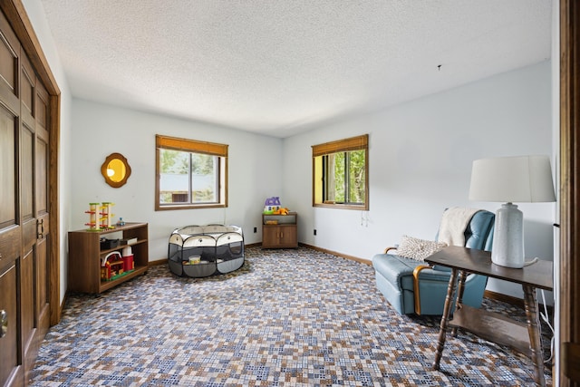 3704 Milton St N, Shoreview, MN 55126 - office space with a textured ceiling and carpet