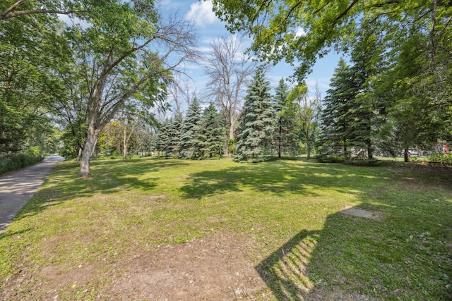 3704 Milton St N, Shoreview, MN 55126 - view of green lawn