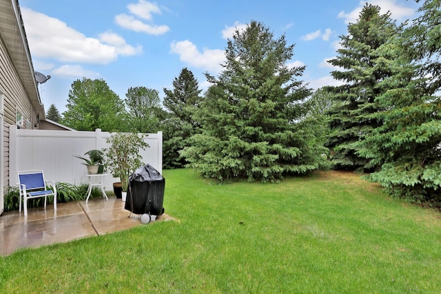 2171 Cleveland Way S, Cambridge, MN 55008 - view of yard with a patio area
