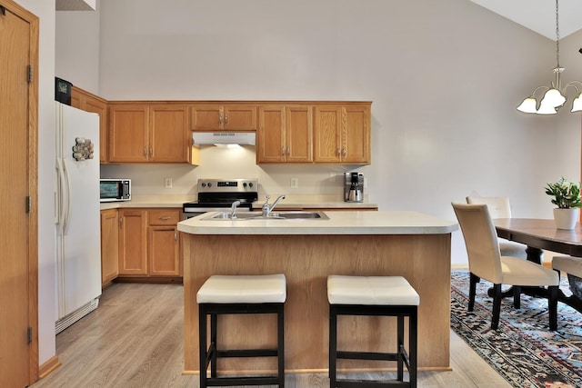 2171 Cleveland Way S, Cambridge, MN 55008 - kitchen featuring under cabinet range hood, freestanding refrigerator, stainless steel electric range oven, a sink, and light wood finished floors