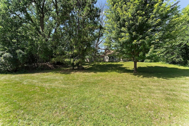 2300 Pagel Rd, Mendota Heights, MN 55120 - photo 8