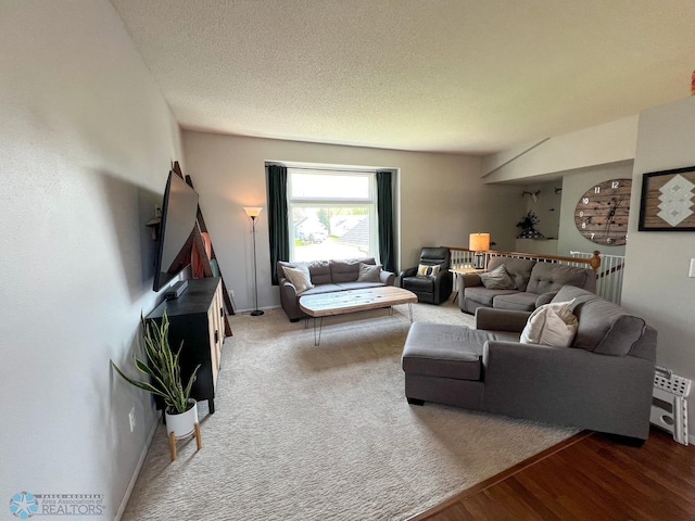 living room featuring a textured ceiling and wood finished floors