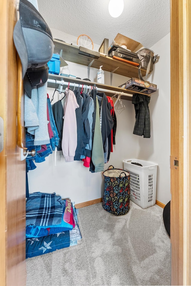 5678 Sherman Oaks Rd, Stacy, MN 55079 - walk in closet with carpet flooring