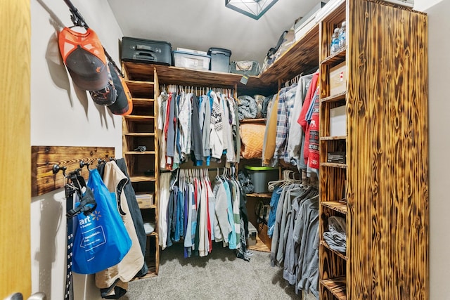 5678 Sherman Oaks Rd, Stacy, MN 55079 - walk in closet with carpet floors