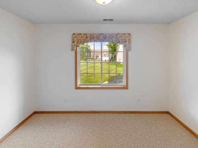 663 Regent Ln, Waconia, MN 55387 - unfurnished room featuring light carpet and baseboards