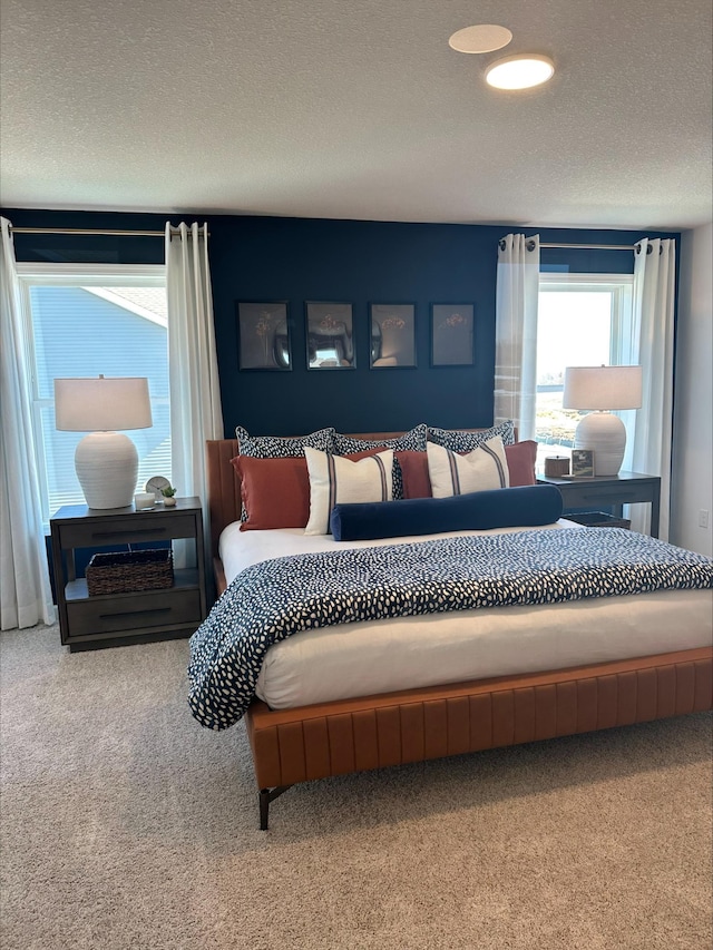 14536 74th St NE, Otsego, MN 55330 - bedroom with carpet and a textured ceiling