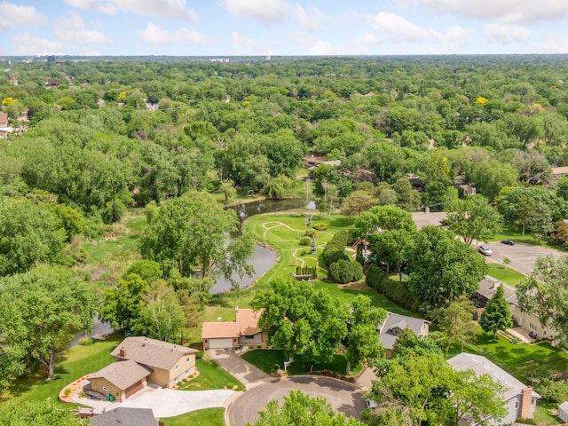 3291 Hillsboro Ave S, Saint Louis Park, MN 55426 - bird's eye view of a heavily wooded area and a nearby body of water