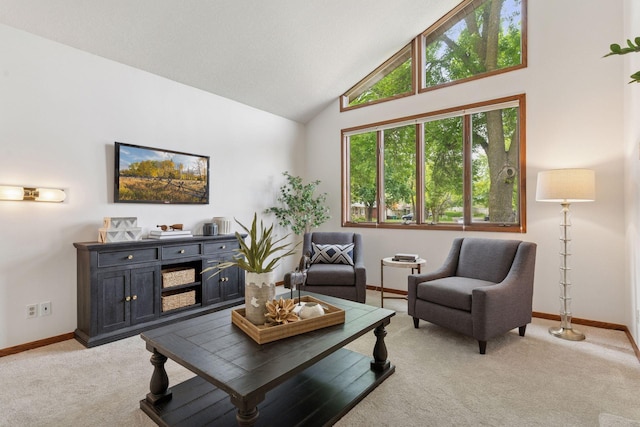 3291 Hillsboro Ave S, Saint Louis Park, MN 55426 - living area featuring light colored carpet and high vaulted ceiling