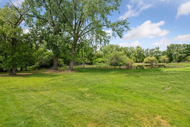 3291 Hillsboro Ave S, Saint Louis Park, MN 55426 - view of green lawn