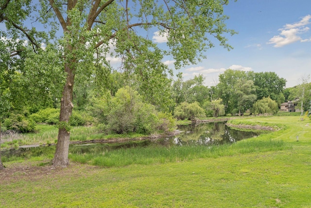 3291 Hillsboro Ave S, Saint Louis Park, MN 55426 - view of yard with a water view