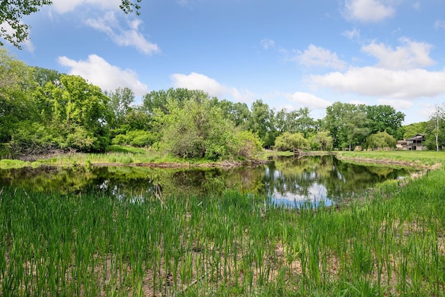 3291 Hillsboro Ave S, Saint Louis Park, MN 55426 - water view
