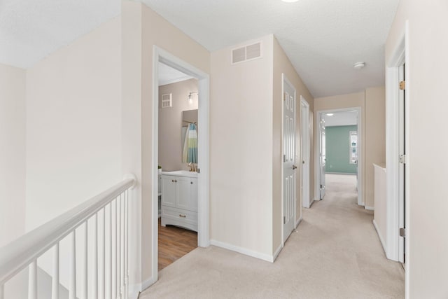 1353 White Oak Dr, Chaska, MN 55318 - hall featuring light carpet, baseboards, and a sink
