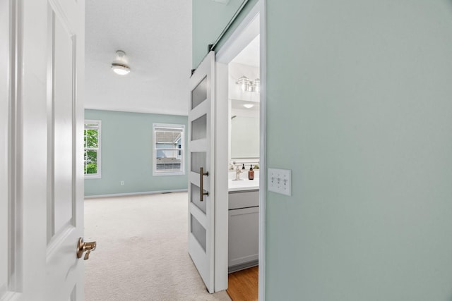 1353 White Oak Dr, Chaska, MN 55318 - hall featuring light colored carpet and baseboards