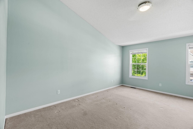 1353 White Oak Dr, Chaska, MN 55318 - carpeted spare room with vaulted ceiling, baseboards, and a textured ceiling