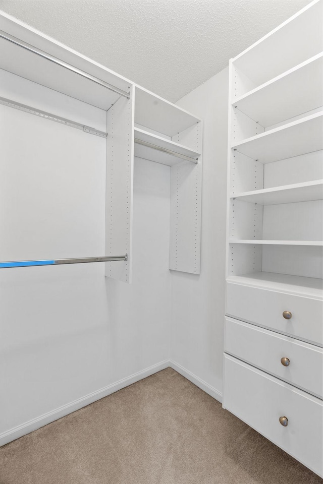 1353 White Oak Dr, Chaska, MN 55318 - walk in closet featuring carpet floors