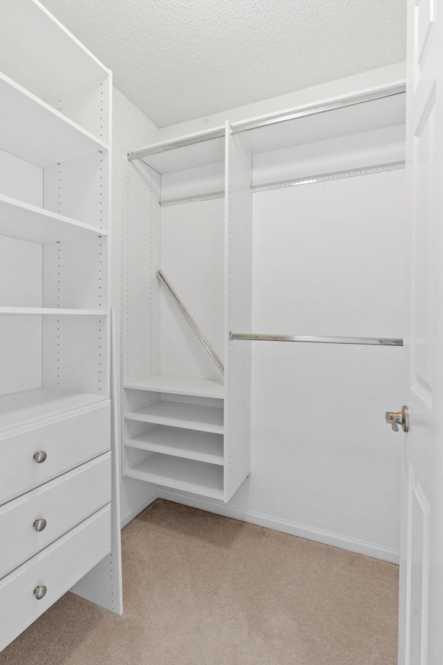 1353 White Oak Dr, Chaska, MN 55318 - spacious closet featuring carpet flooring