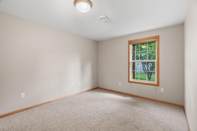 1353 White Oak Dr, Chaska, MN 55318 - empty room with carpet flooring, baseboards, and a textured ceiling