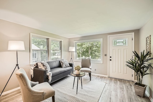 6670 Hopi Rd, Chanhassen, MN 55317 - living area with light wood finished floors and baseboards