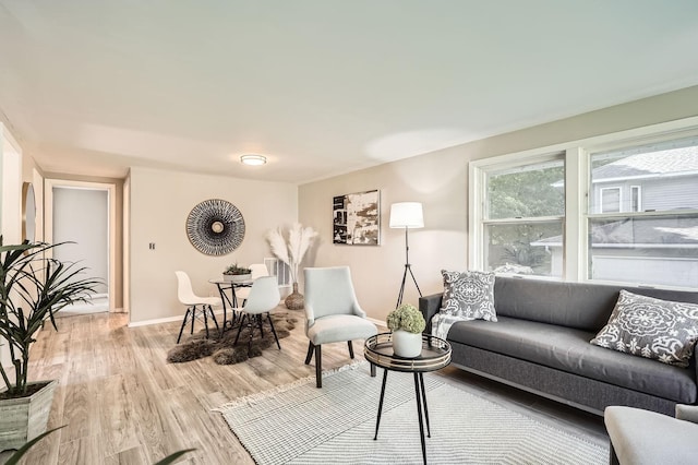 6670 Hopi Rd, Chanhassen, MN 55317 - living room with light wood finished floors and baseboards