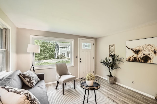 6670 Hopi Rd, Chanhassen, MN 55317 - living area with light wood-type flooring and baseboards