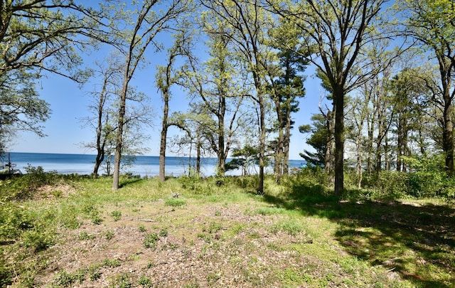11618 Twilight Rd, Onamia, MN 56359