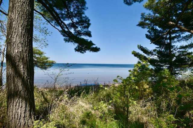 11618 Twilight Rd, Onamia, MN 56359