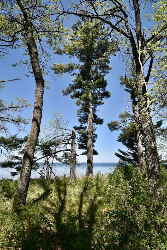 11618 Twilight Rd, Onamia, MN 56359