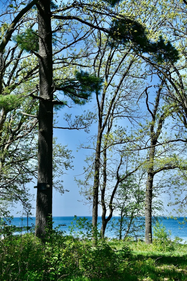 11618 Twilight Rd, Onamia, MN 56359