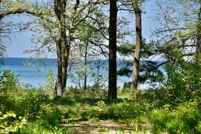 11618 Twilight Rd, Onamia, MN 56359