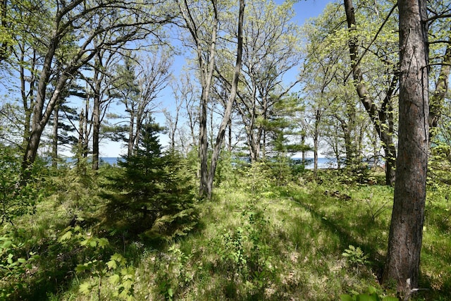 11618 Twilight Rd, Onamia, MN 56359
