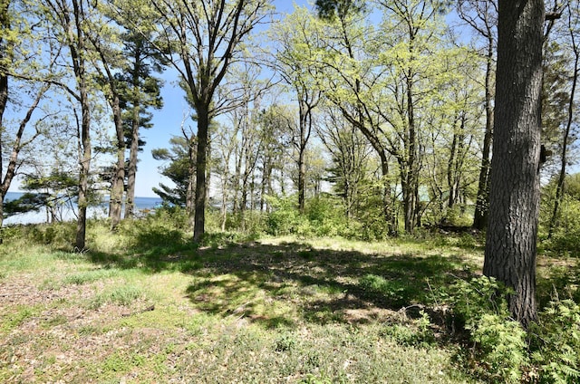 11618 Twilight Rd, Onamia, MN 56359